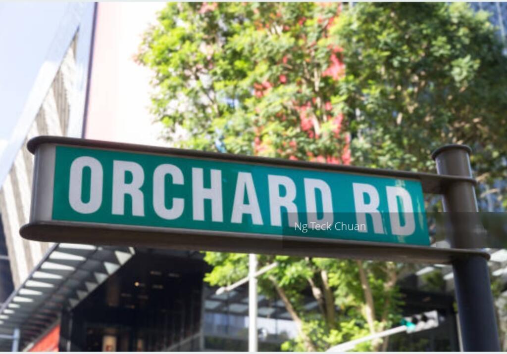 Orchard Road (D9), Retail #343643101